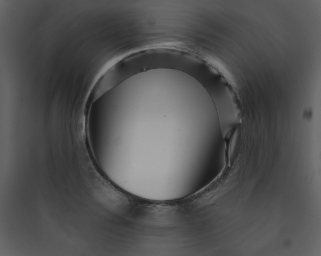 X0000089751324200707121333