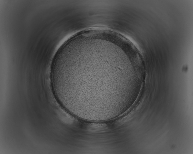 X0000089751325200707121333