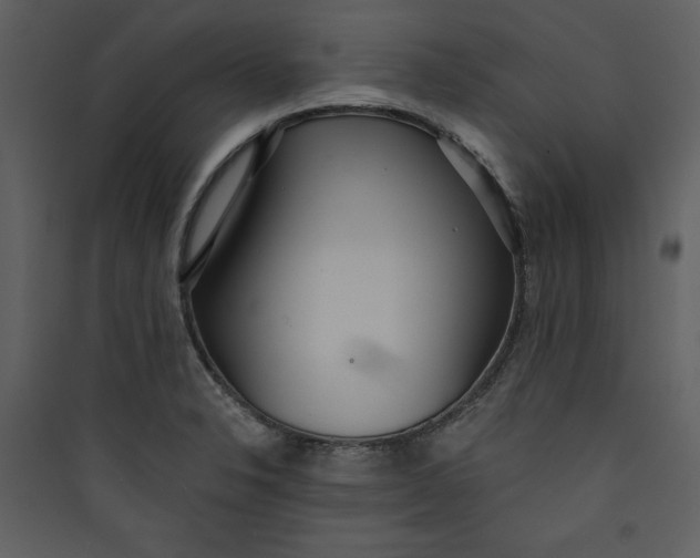 X0000089751326200707121333