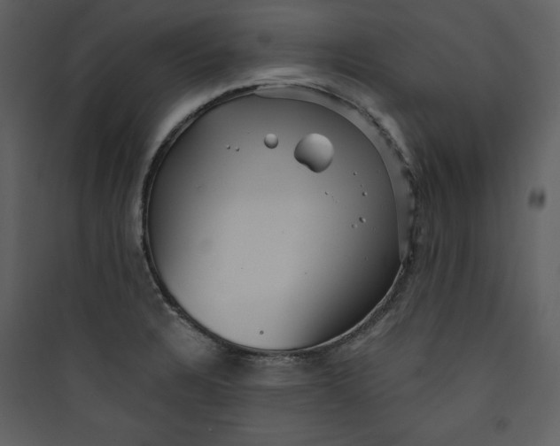 X0000089751328200707121333