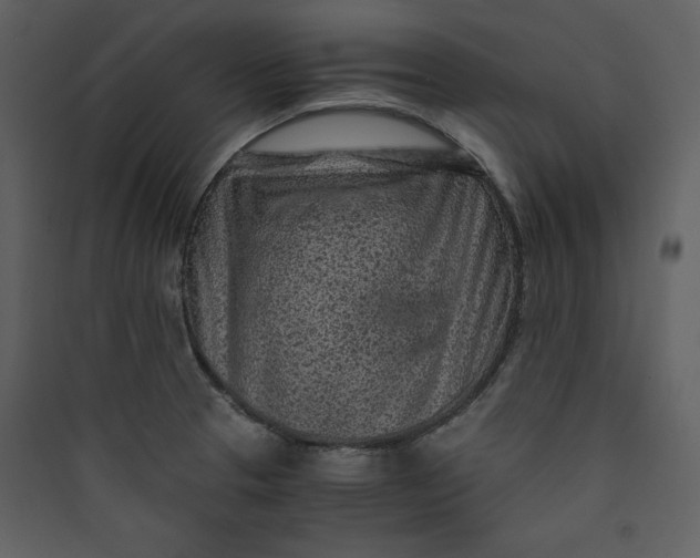 X0000089751329200707121333