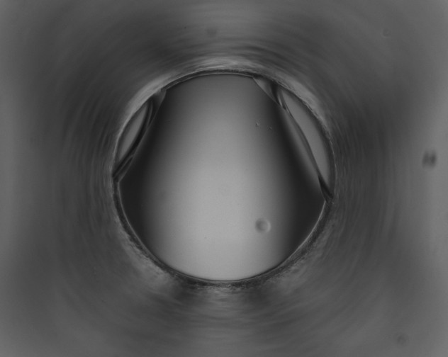 X0000089751330200707121333