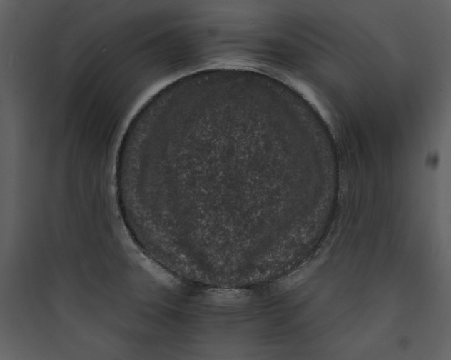 X0000089751331200707121333