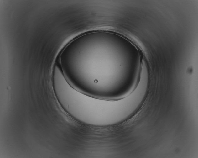 X0000089751332200707121333