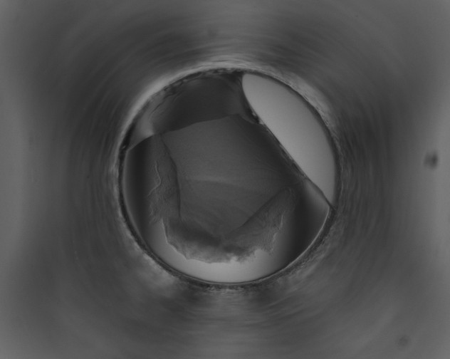 X0000089751334200707121333