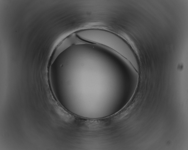 X0000089751336200707121333