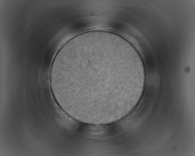 X0000089751338200707121333