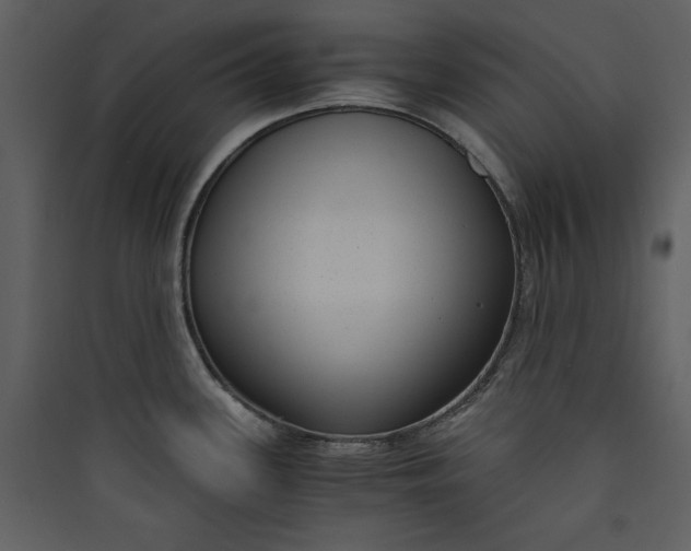 X0000089751339200707121333