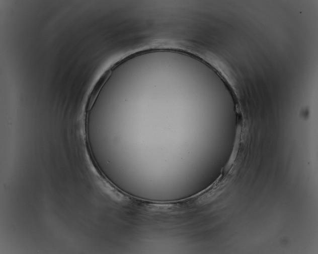 X0000089751342200707121333