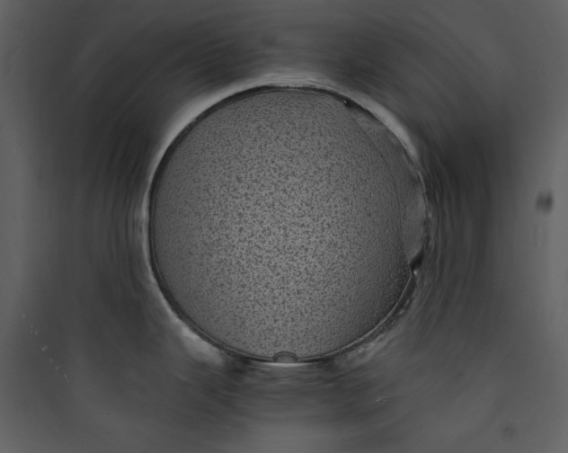 X0000089751343200707121333