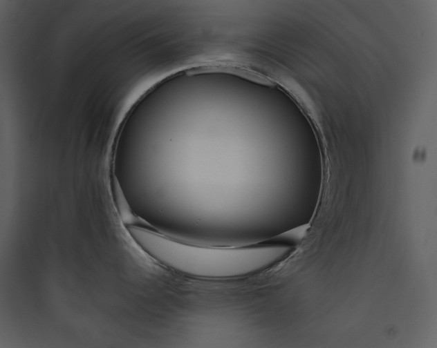 X0000089751344200707121333