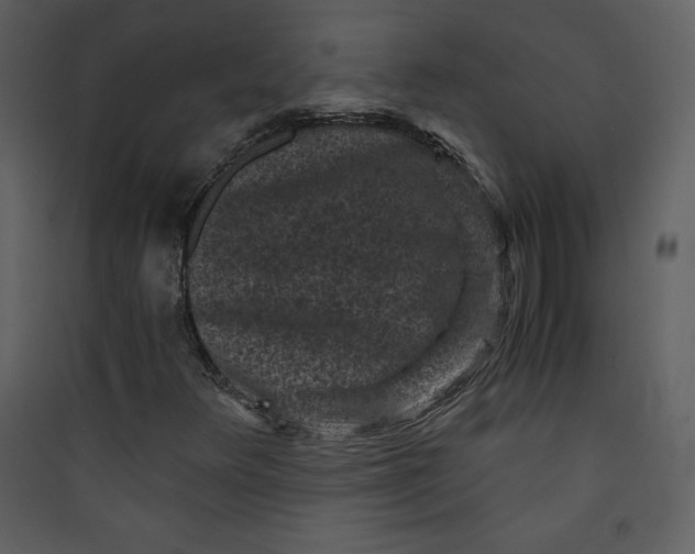 X0000089751348200707121333