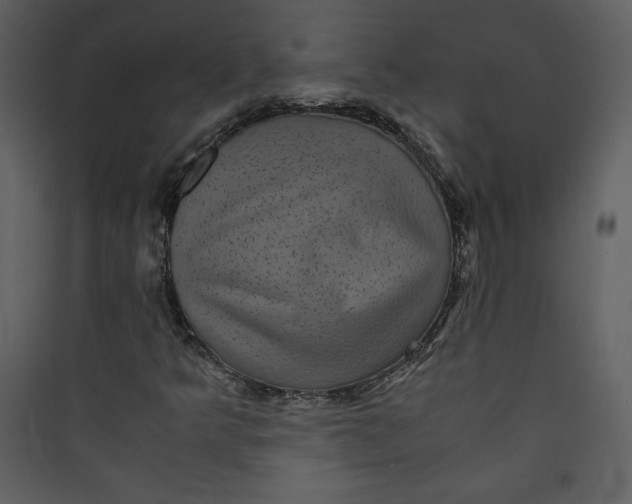 X0000089751349200707121333