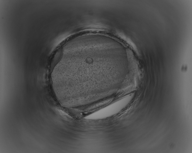 X0000089751352200707121333