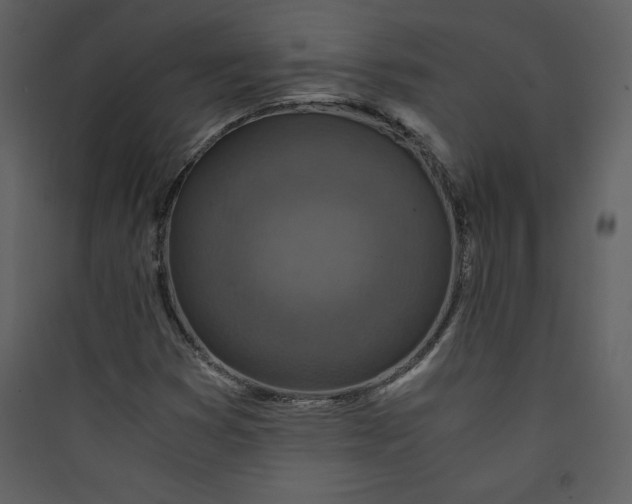 X0000089751353200707121333