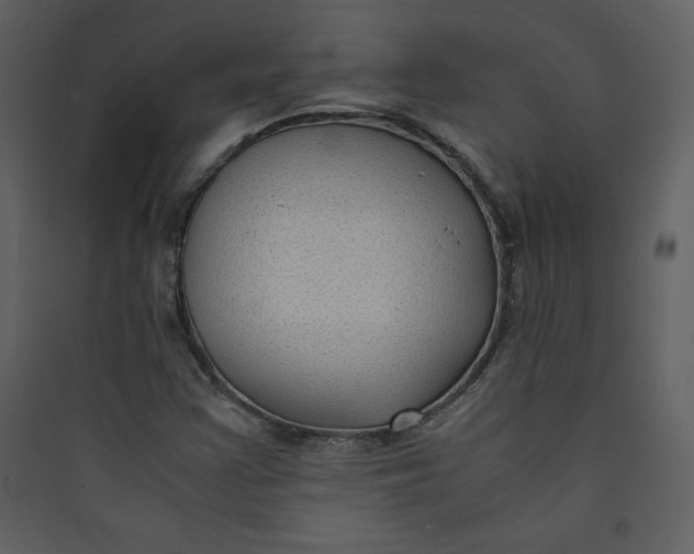 X0000089751355200707121333