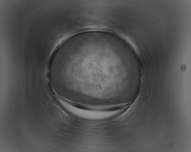 X0000089751357200707121333