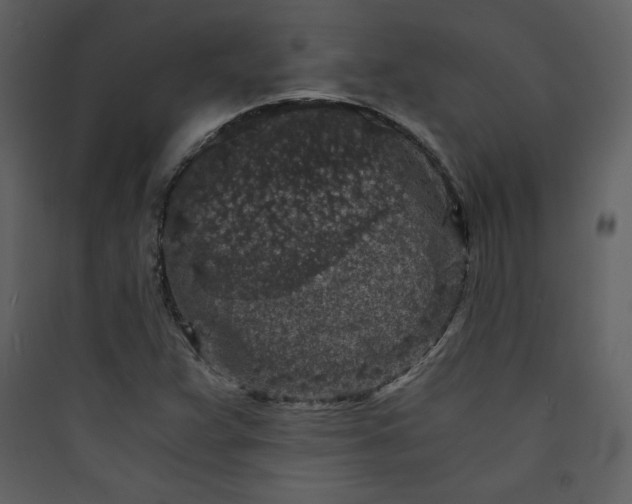 X0000089751359200707121333