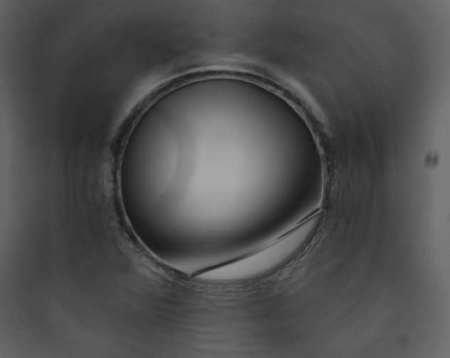 X0000089751360200707121333