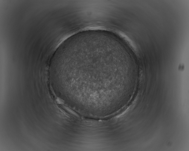 X0000089751361200707121333