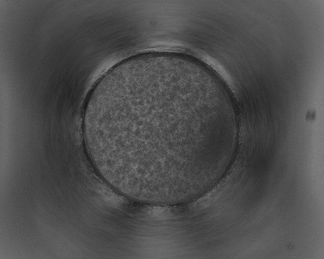 X0000089751362200707121333