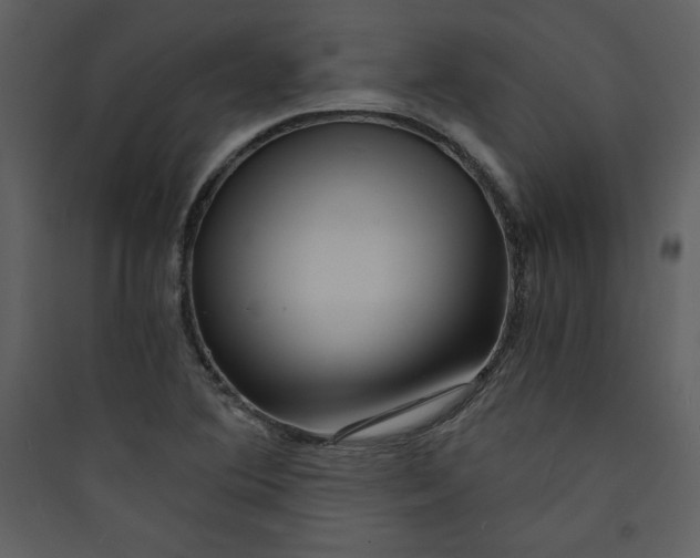 X0000089751364200707121333