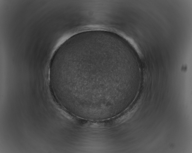 X0000089751365200707121333