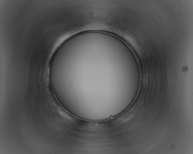 X0000089751366200707121333