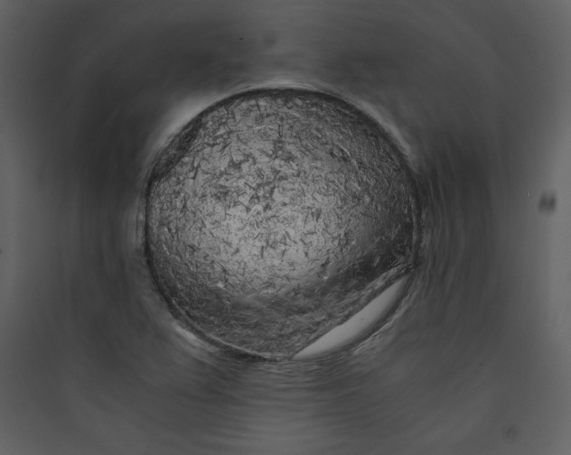 X0000089751367200707121333