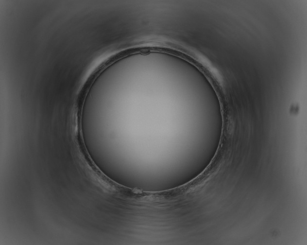 X0000089751368200707121333