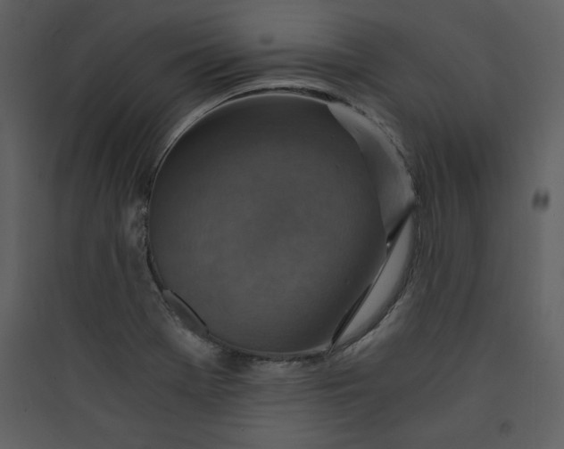 X0000089751369200707121333