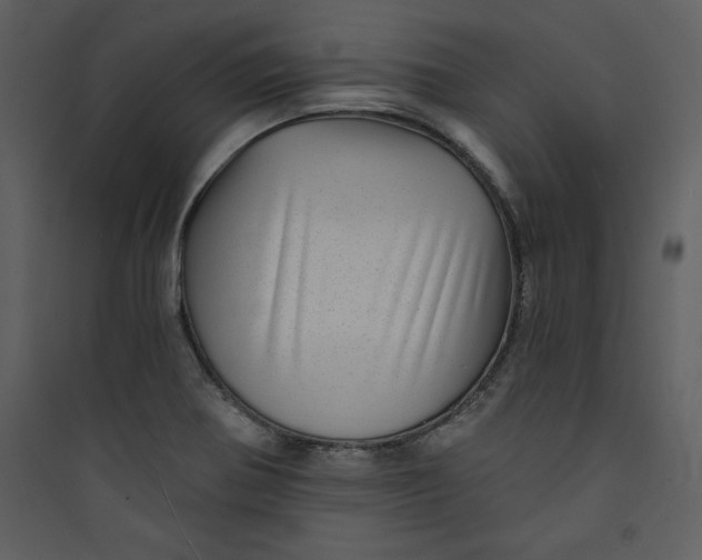 X0000089751370200707121332