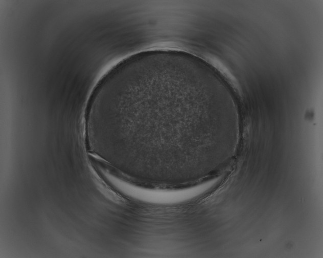 X0000089751372200707121332