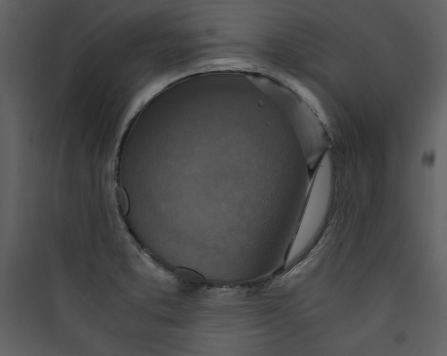 X0000089751373200707121332