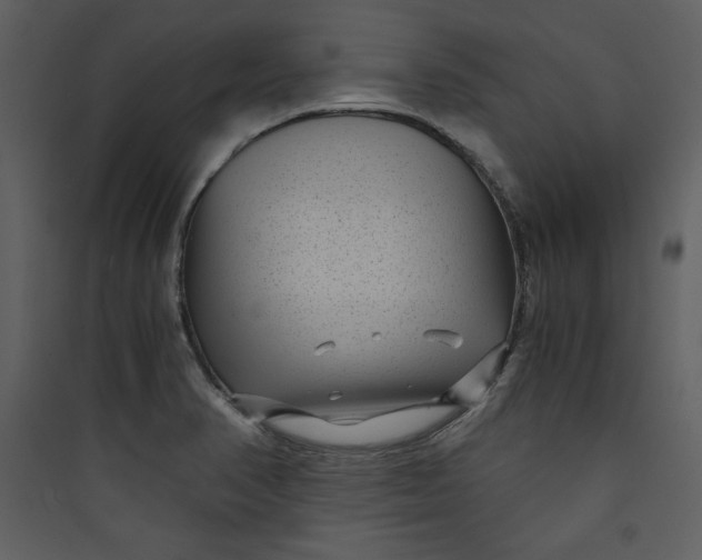 X0000089751374200707121332