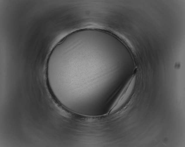 X0000089751375200707121332