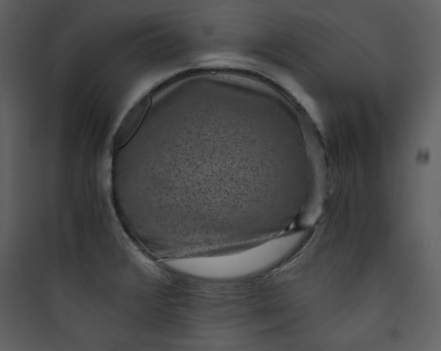 X0000089751376200707121332