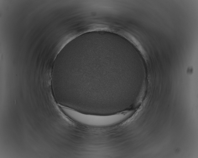 X0000089751377200707121332