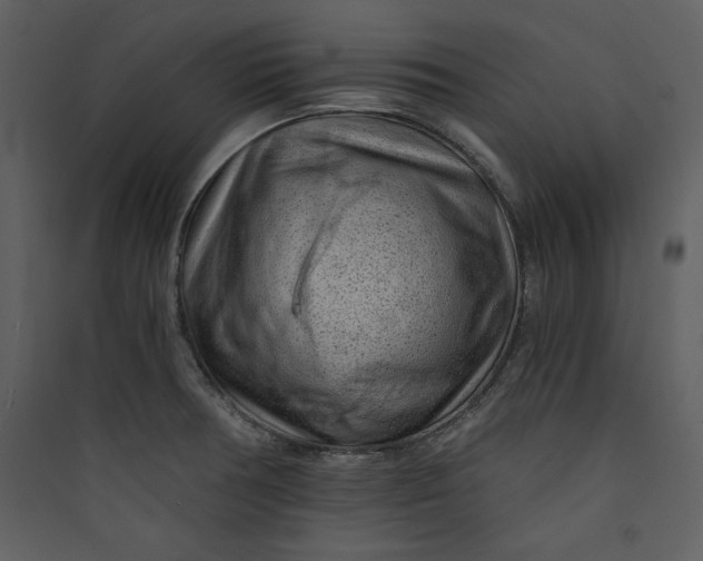 X0000089751378200707121332