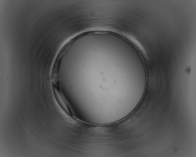 X0000089751380200707121332