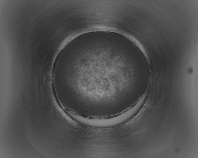 X0000089751381200707121332