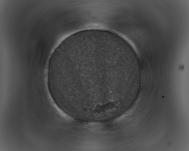 X0000089751383200707121332