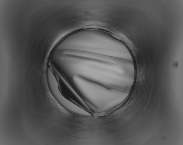 X0000089751384200707121332