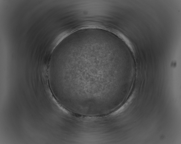 X0000089751385200707121332