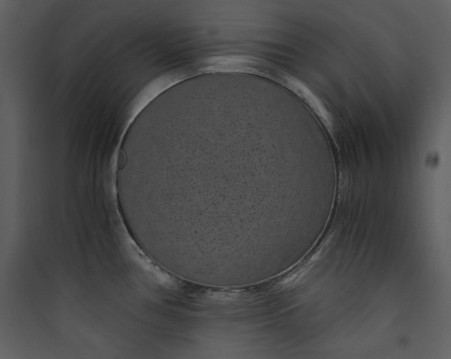 X0000089751386200707121332