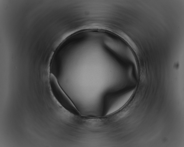 X0000089751388200707121332