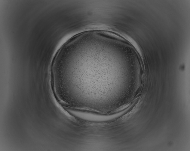 X0000089751389200707121332