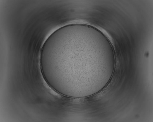 X0000089751390200707121332