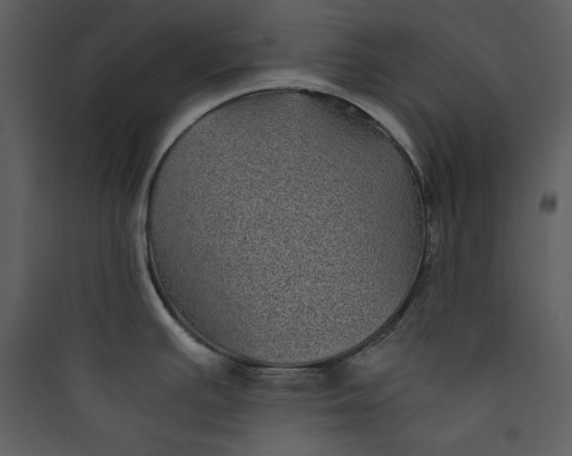 X0000089751391200707121332