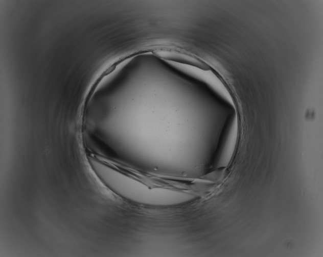 X0000089751392200707121332